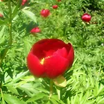 Katoqi - Casa Turistica Nel Parco Del Pollino - Basilicata *
