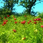 Katoqi - Casa Turistica Nel Parco Del Pollino - Basilicata Apartment