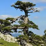 Katoqi - Casa Turistica Nel Parco Del Pollino - Basilicata Appartamento San Paolo Albanese
