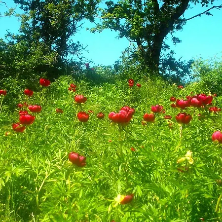 Katoqi - Casa Turistica Nel Parco Del Pollino - Basilicata Appartement