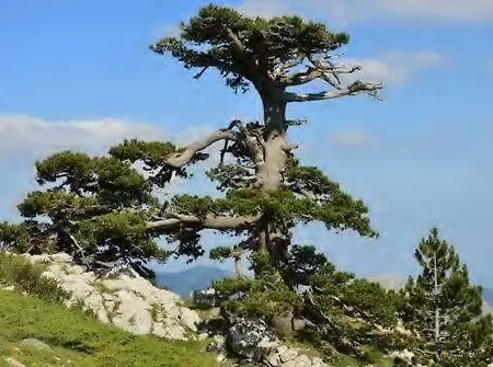 Katoqi - Casa Turistica Nel Parco Del Pollino - Basilicata Lejlighed San Paolo Albanese